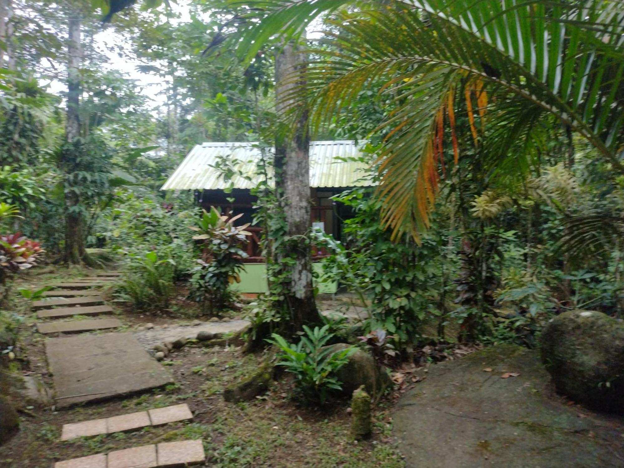 Guapote Lodge La Tigra  Habitación foto