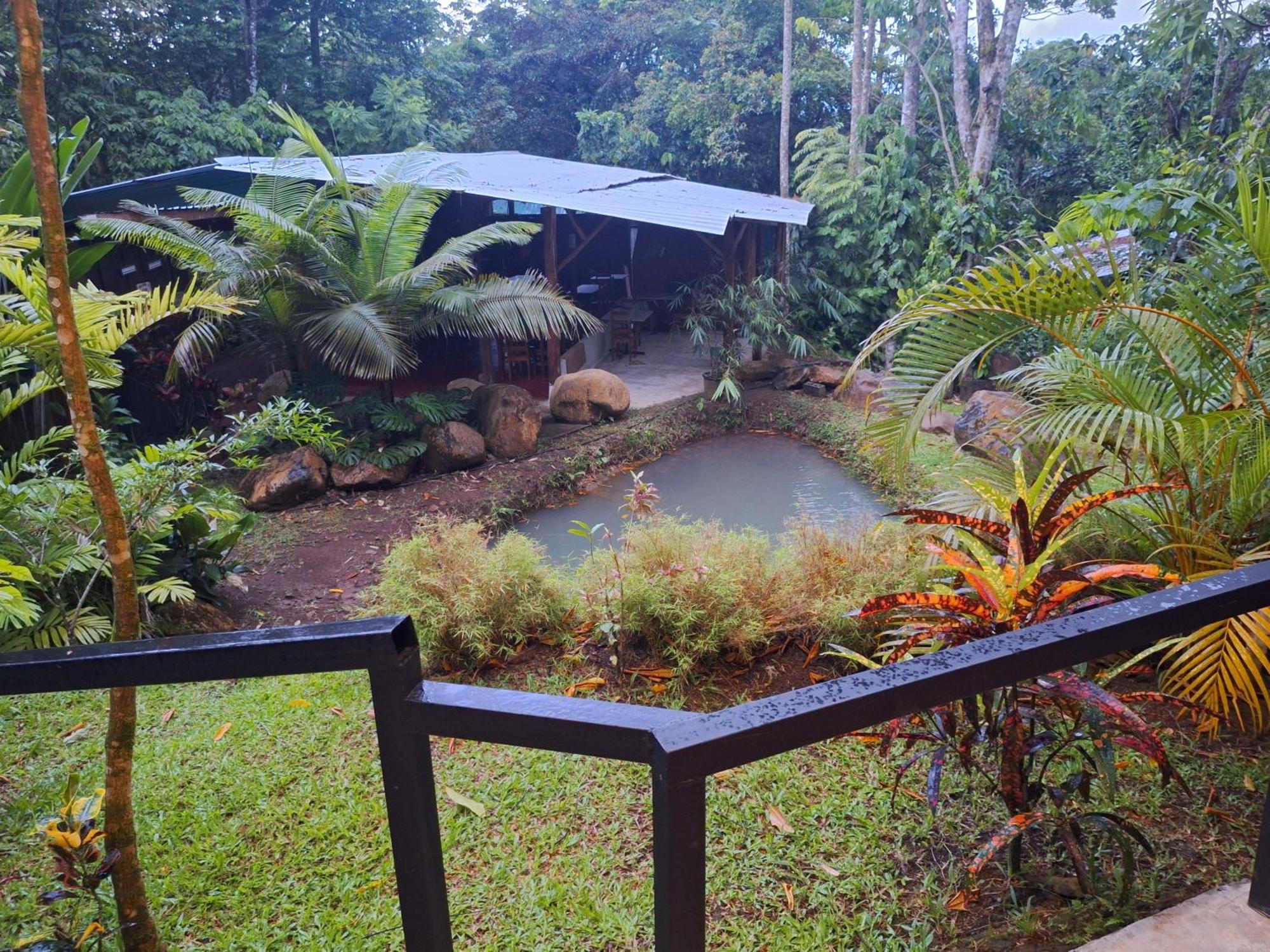 Guapote Lodge La Tigra  Habitación foto
