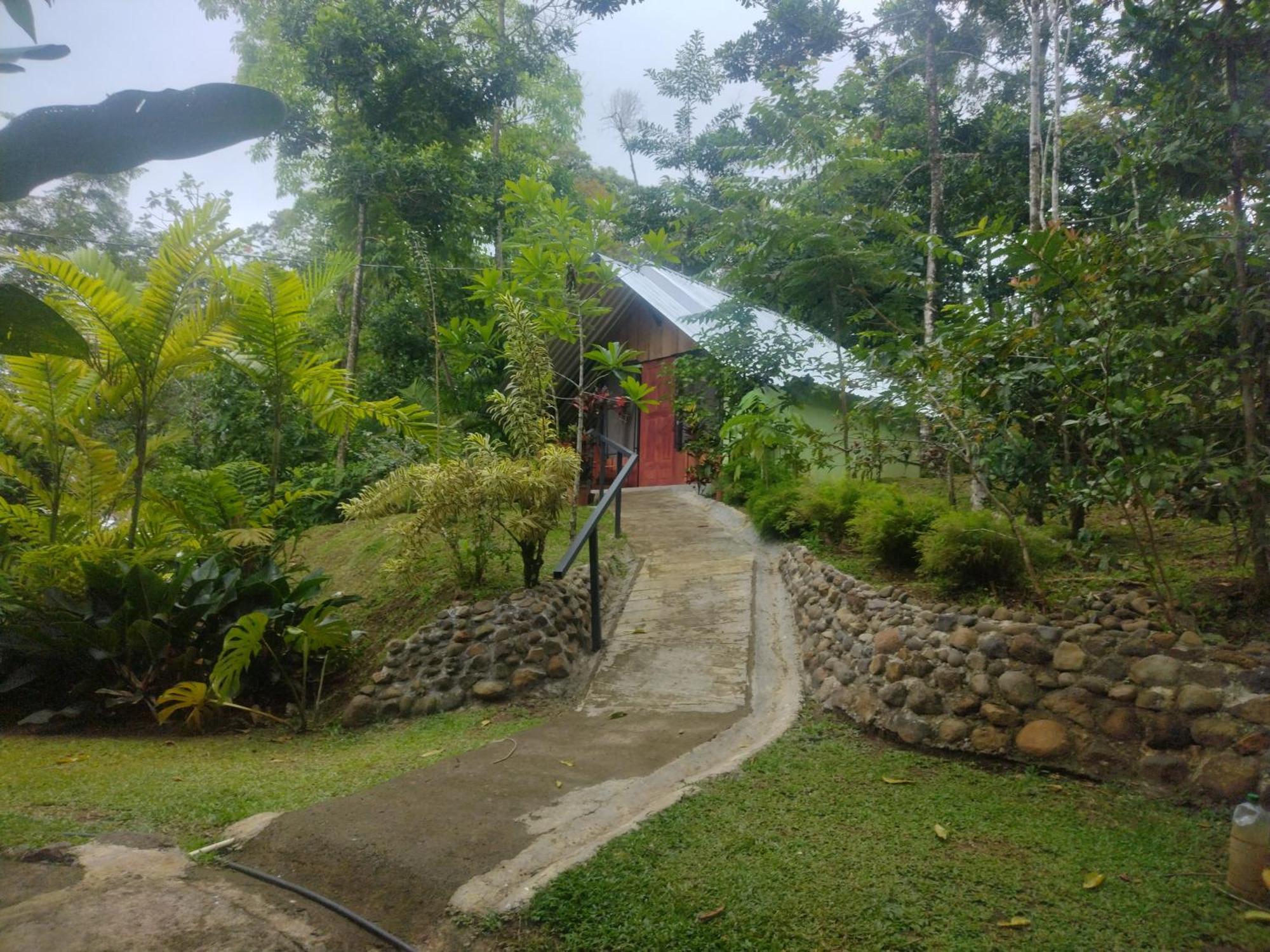 Guapote Lodge La Tigra  Habitación foto