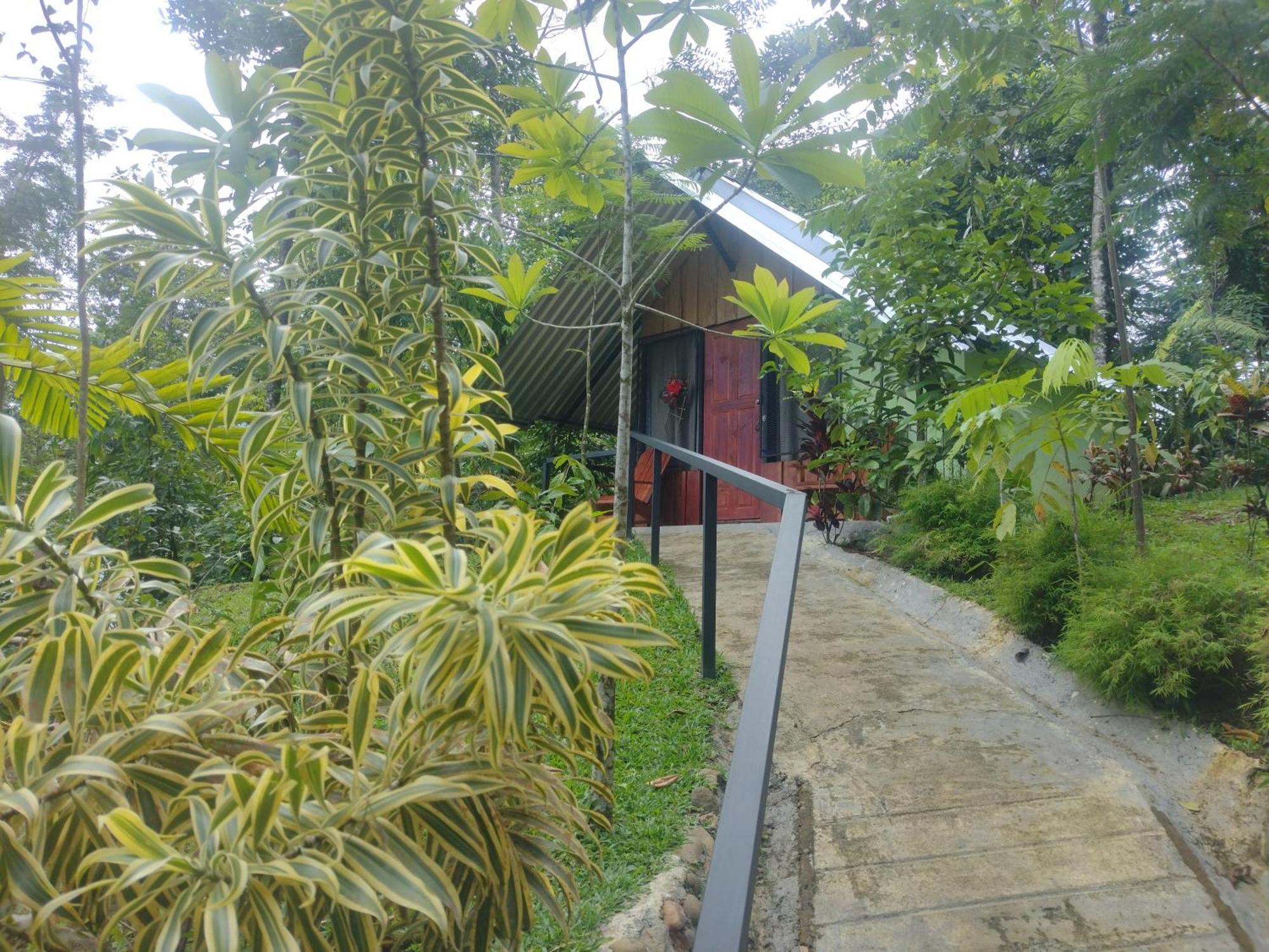 Guapote Lodge La Tigra  Habitación foto