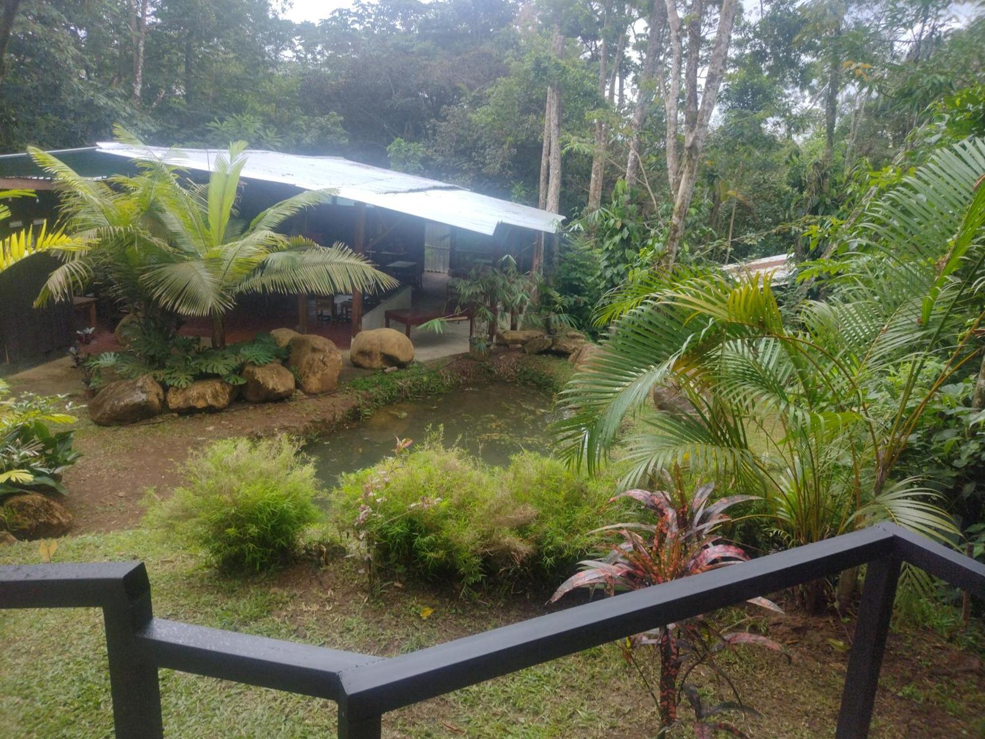 Guapote Lodge La Tigra  Habitación foto