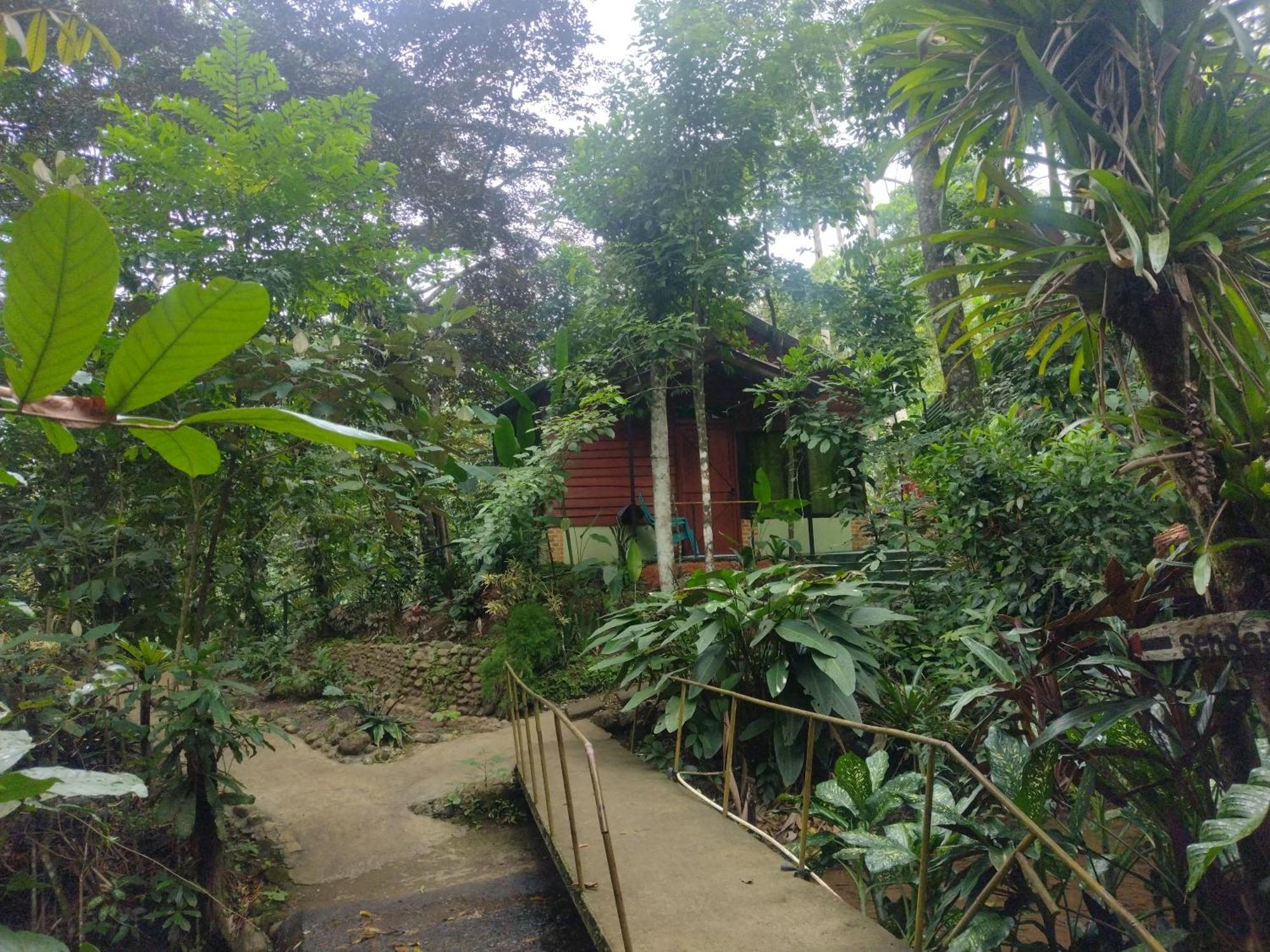 Guapote Lodge La Tigra  Habitación foto