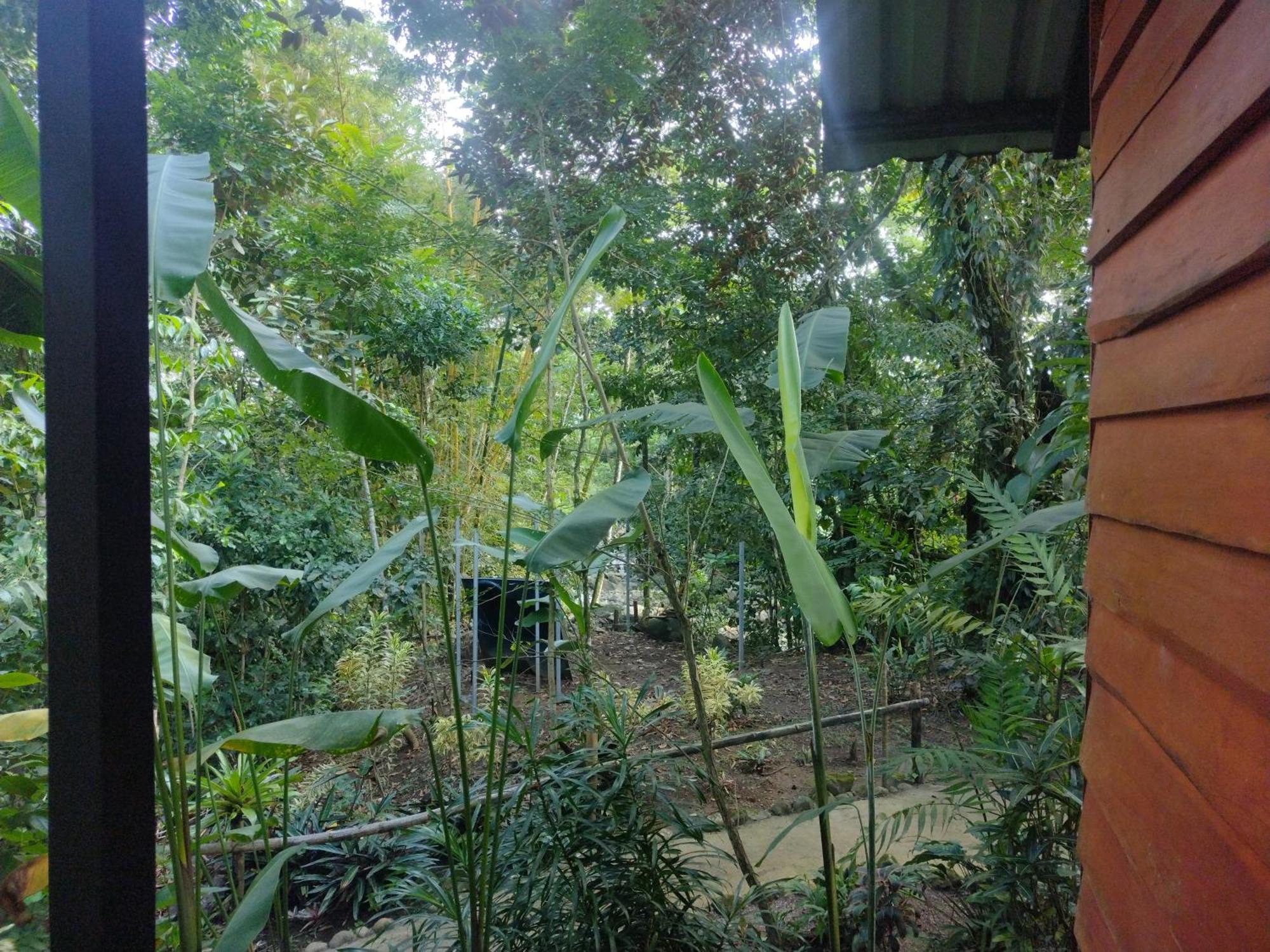 Guapote Lodge La Tigra  Habitación foto