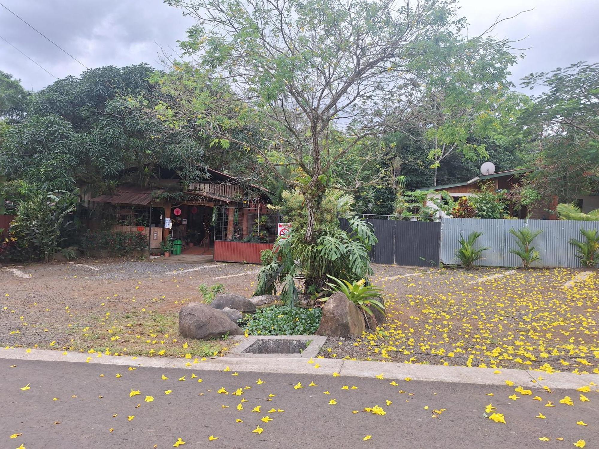 Guapote Lodge La Tigra  Exterior foto