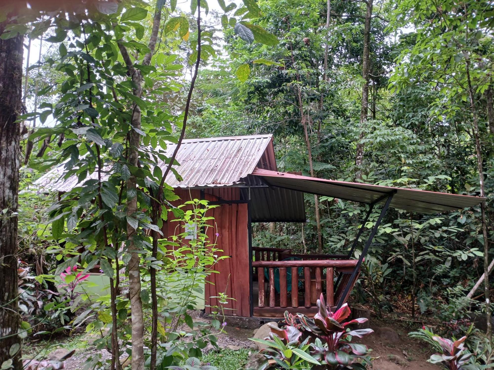 Guapote Lodge La Tigra  Habitación foto